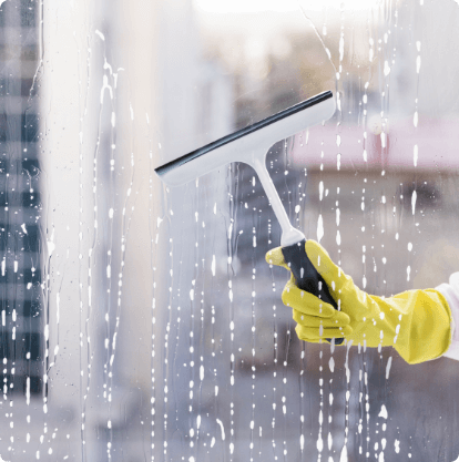 Window Cleaning Service in Bay Area​